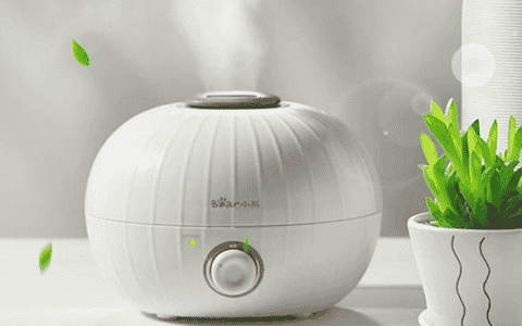 小熊加湿器显示绿色是什么意思