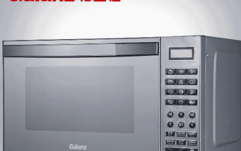 格兰仕是大品牌吗
