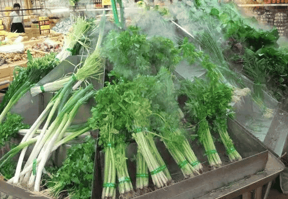 蔬菜保鲜加湿器的缺点
