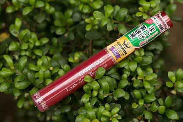 日本CANMAKE毛发增长液好用吗