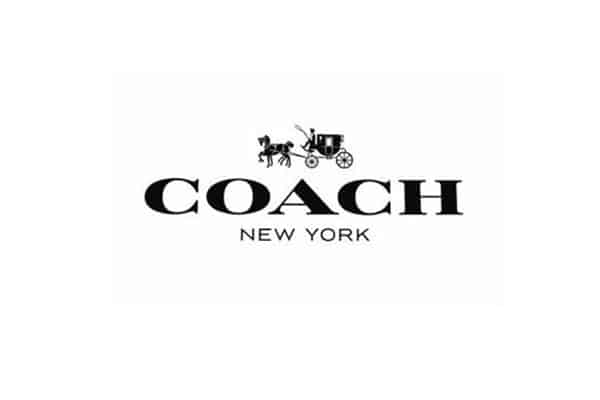 coach贝壳包的三个尺寸，蔻驰贝壳包最火的颜色是哪款