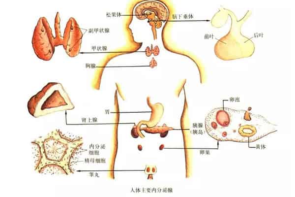 皮肤越来越黑是什么原因