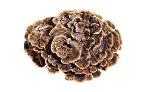 菌菇水湿敷完需要洗吗