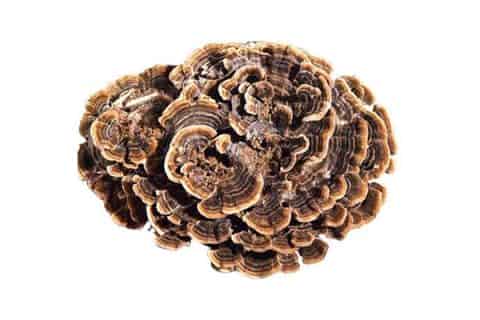 菌菇水湿敷完需要洗吗