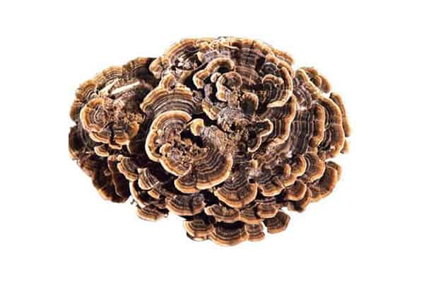 菌菇水湿敷完需要洗吗