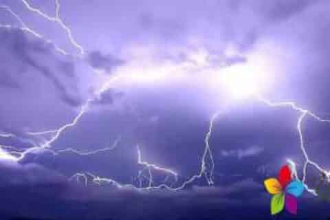 需要一半留一半打一字谜底是什么(需要一半留要一半打一字谜)