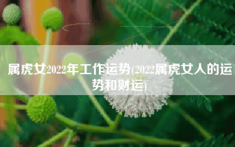 属虎女2022年工作运势(2022属虎女人的运势和财运)