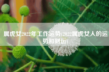 属虎女2022年作业运势(2022属虎女性的运势和财气)