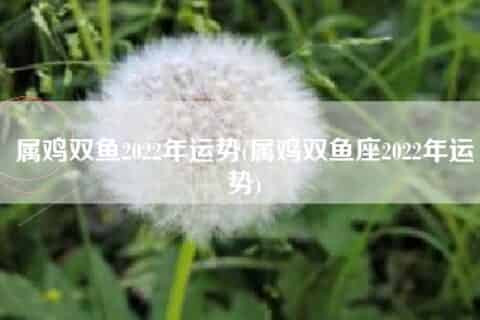 属鸡双鱼2022年运势(属鸡双鱼座2022年运势)