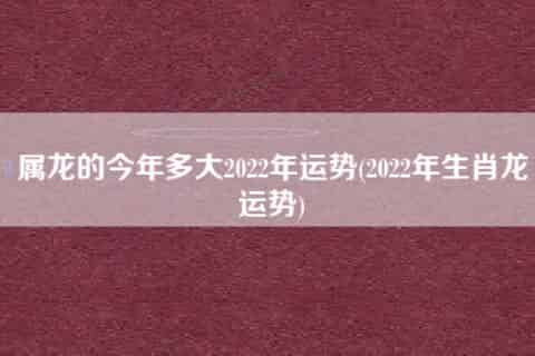 属龙的今年多大2022年运势(2022年生肖龙运势)