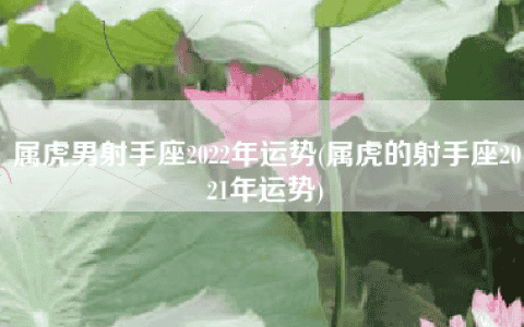 属虎男射手座2022年运势(属虎的射手座2021年运势)