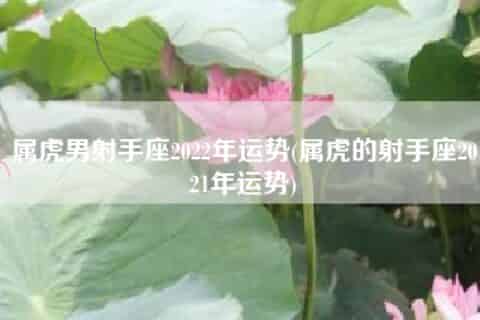 属虎男射手座2022年运势(属虎的射手座2021年运势)