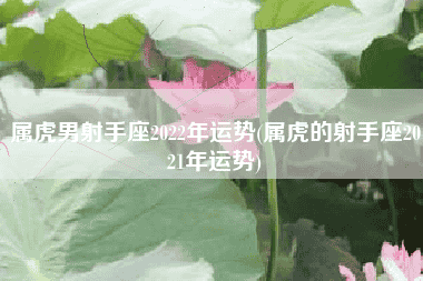 属虎男射手座2022年运势(属虎的射手座2021年运势)
