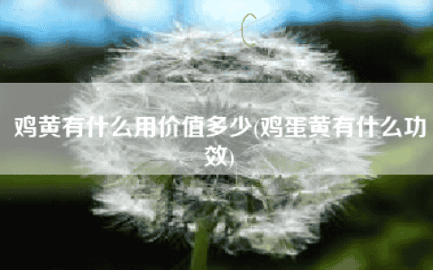 鸡黄有什么用价值多少(鸡蛋黄有什么功效)