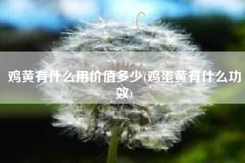 鸡黄有什么用价值多少(鸡蛋黄有什么功效)