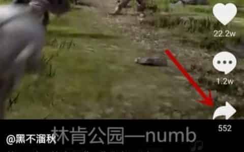 抖音视频暂时无法保存怎么办？