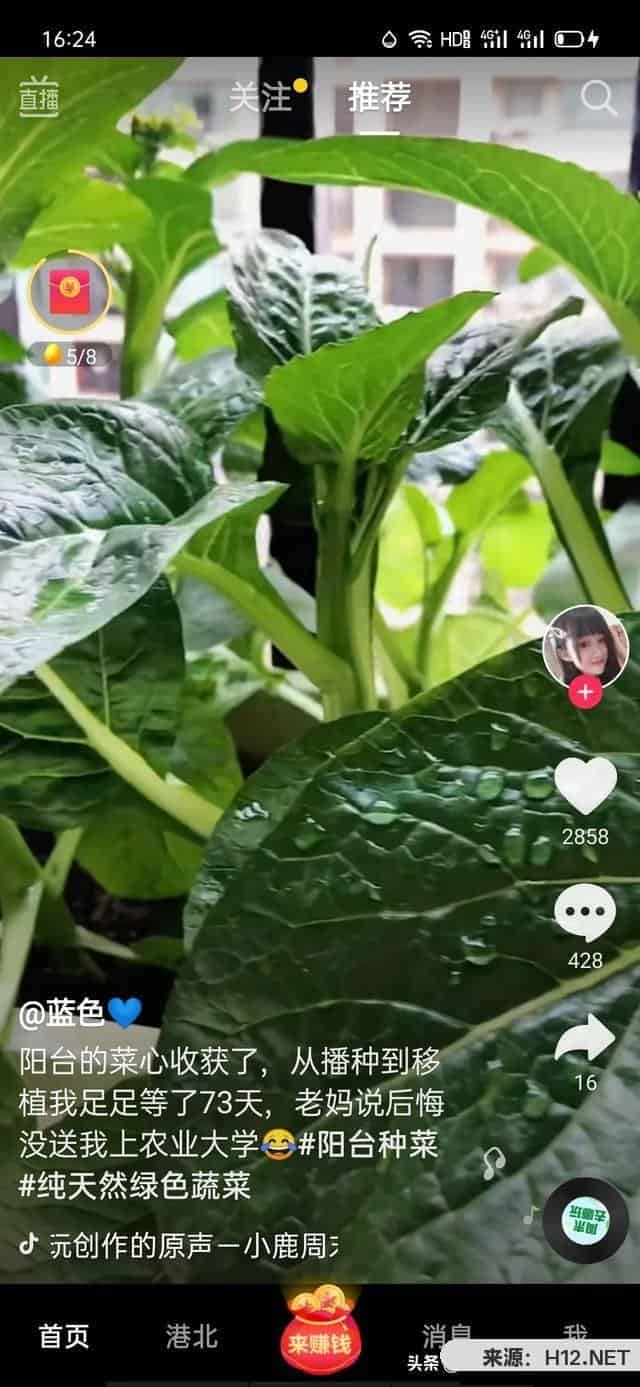 怎样主动刷抖音挣钱？