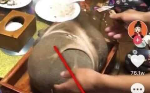 怎么修改自己的抖音号？
