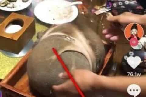 怎么修改自己的抖音号？