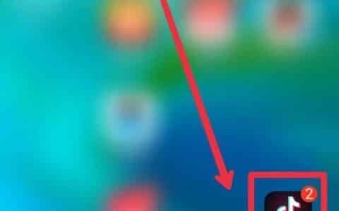 怎样在抖音极速版上买东西？