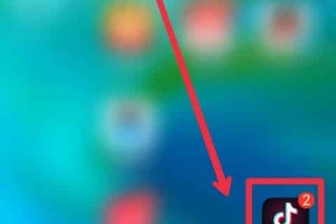 怎样在抖音极速版上买东西？