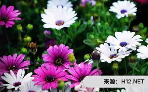 抖音极速版現金领不了？
