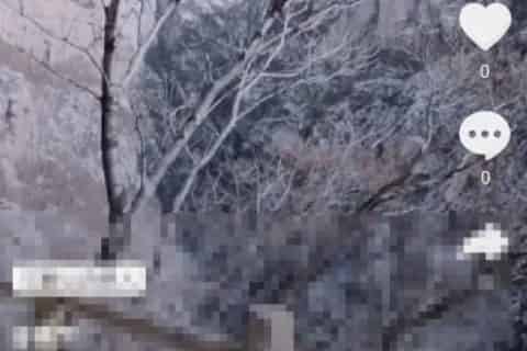 如何删除抖音短视频？