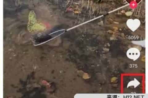 抖音上的音乐怎么下载？