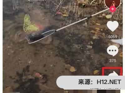 抖音上的音乐怎么下载？