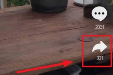 抖音音乐怎么设置手机铃声？抖音音乐怎样下载？