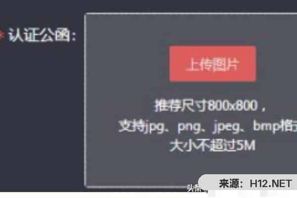 抖音企业认证资料填写详解？