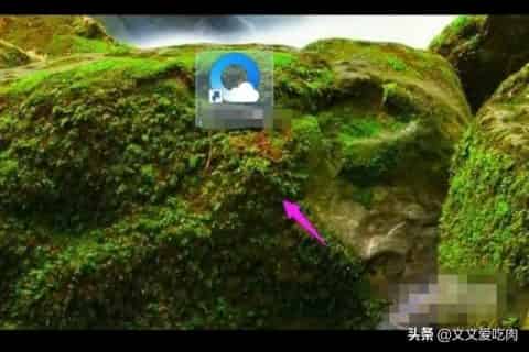 抖音如何查看订单成交量、成交额、橱窗访问次数？