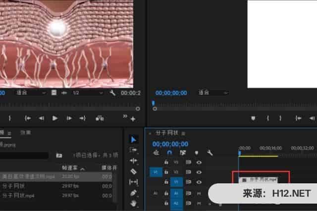 pr模板怎样替换视频素材图片？三种方法？