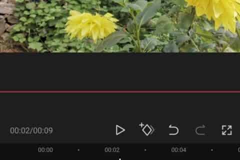 剪映中怎么替换视频中的部分图片？