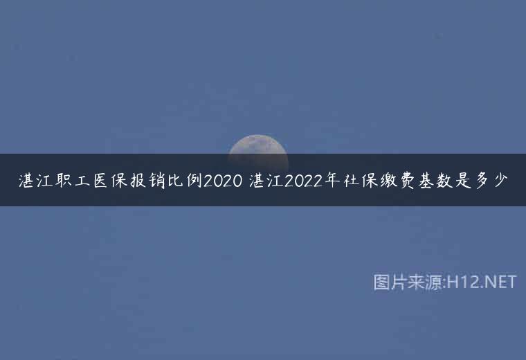 湛江职工医保报销比例2020 湛江2022年社保缴费基数是多少