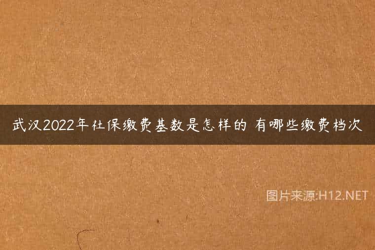 武汉2022年社保缴费基数是怎样的 有哪些缴费档次