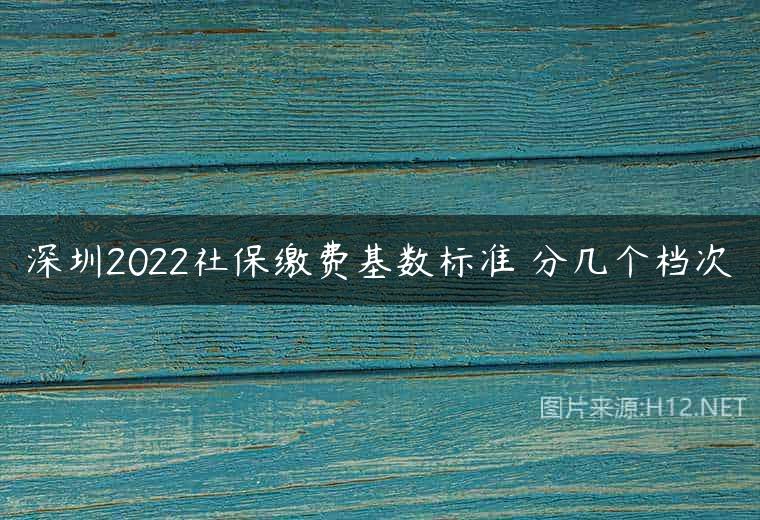 深圳2022社保缴费基数标准 分几个档次