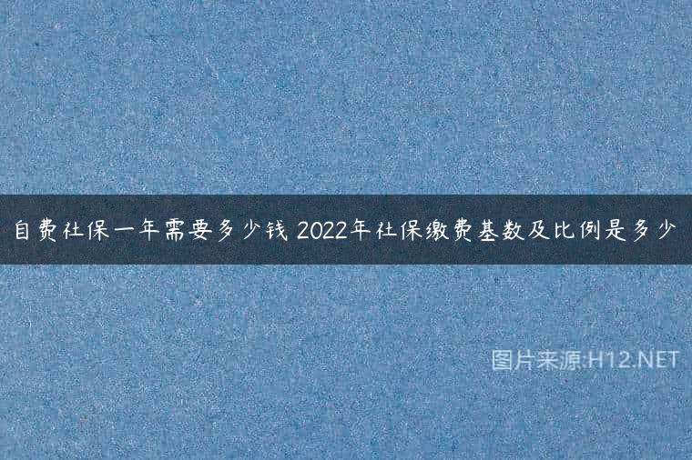 自费社保一年需要多少钱 2022年社保缴费基数及比例是多少