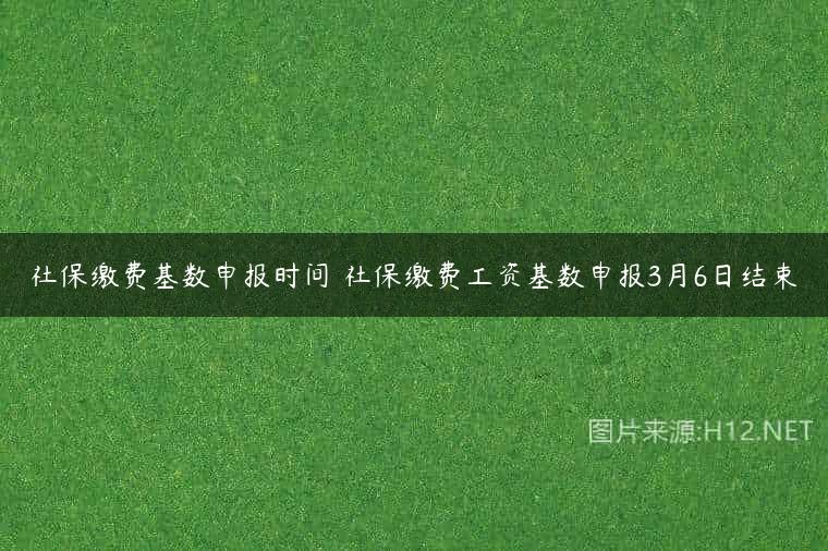 社保缴费基数申报时间 社保缴费工资基数申报3月6日结束