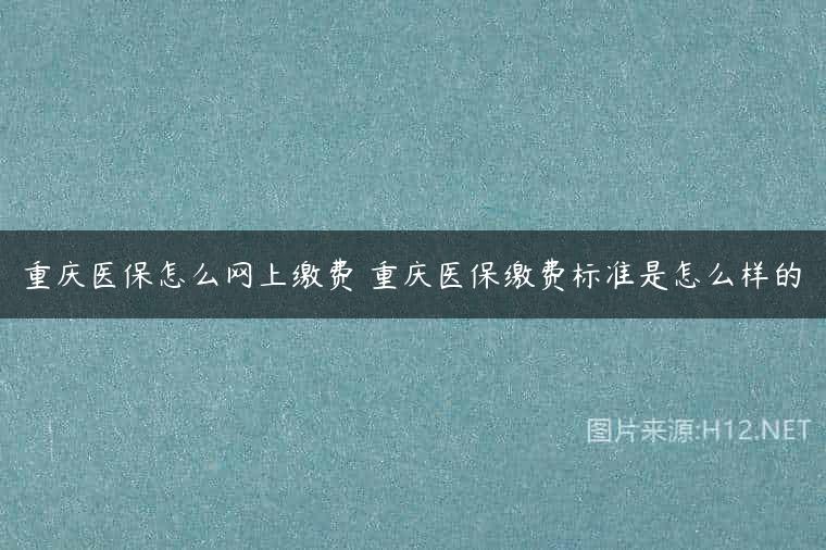 重庆医保怎么网上缴费 重庆医保缴费标准是怎么样的