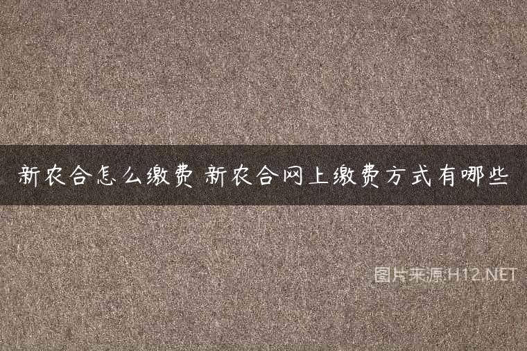 新农合怎么缴费 新农合网上缴费方式有哪些