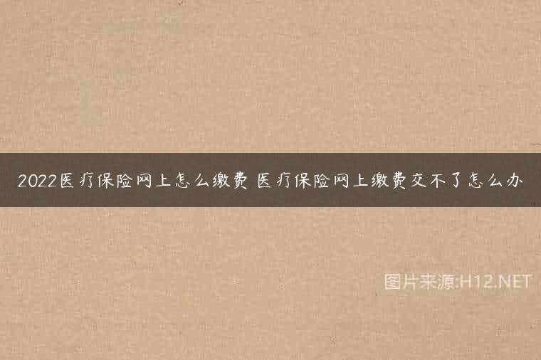 2022医疗保险网上怎么缴费 医疗保险网上缴费交不了怎么办
