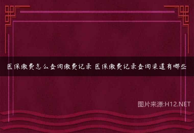 医保缴费怎么查询缴费记录 医保缴费记录查询渠道有哪些