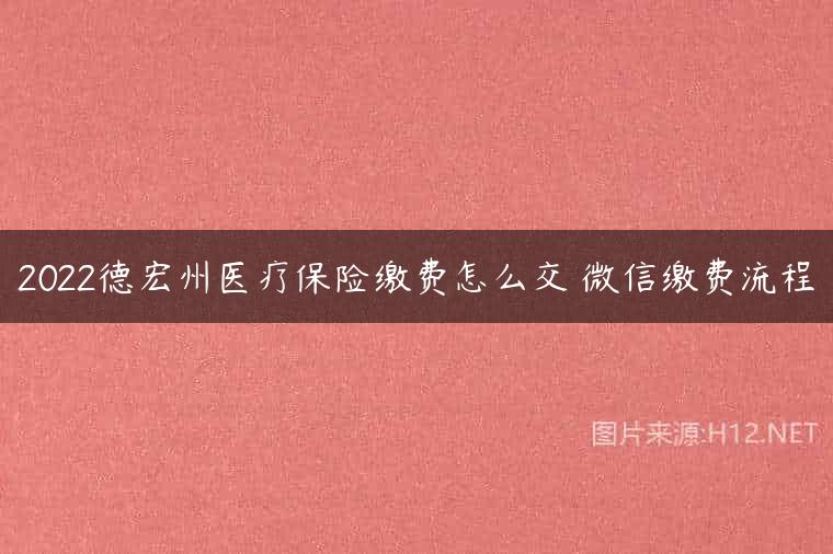 2022德宏州医疗保险缴费怎么交 微信缴费流程