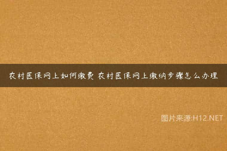 农村医保网上如何缴费 农村医保网上缴纳步骤怎么办理