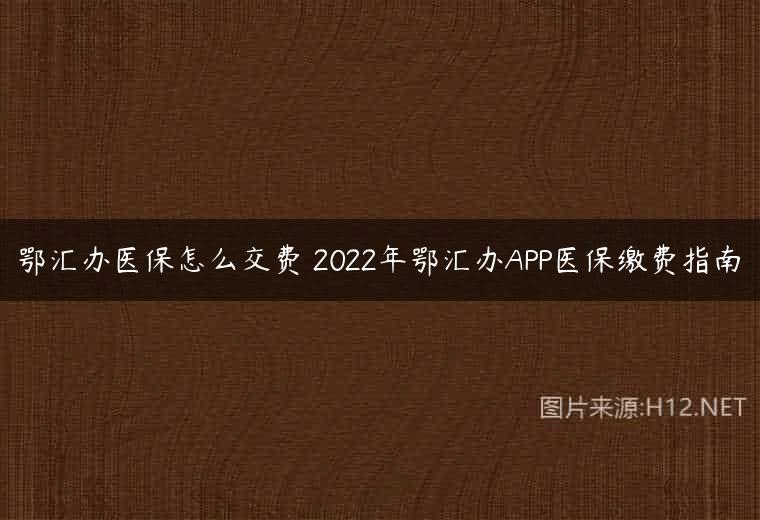 鄂汇办医保怎么交费 2022年鄂汇办APP医保缴费指南