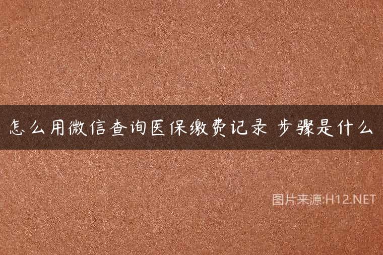 怎么用微信查询医保缴费记录 步骤是什么