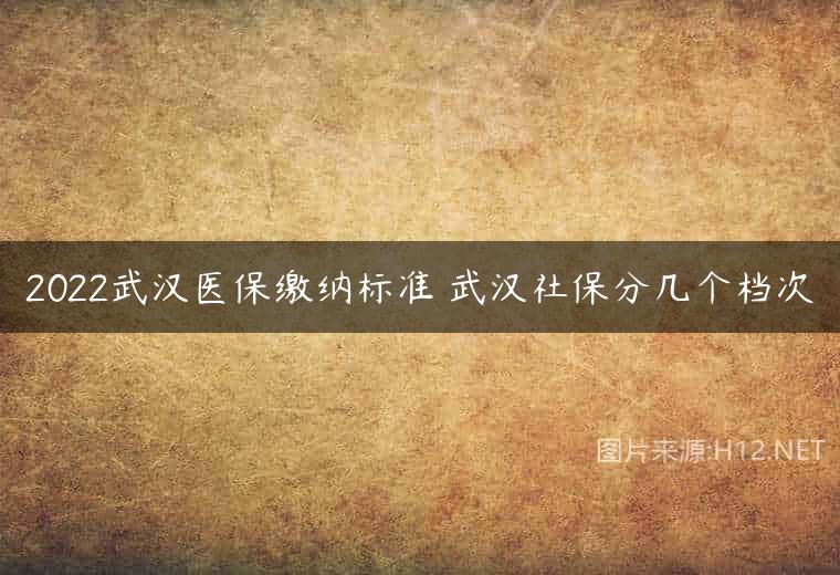 2022武汉医保缴纳标准 武汉社保分几个档次