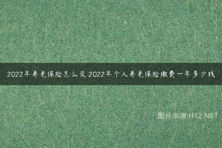 2022年养老保险怎么交 2022年个人养老保险缴费一年多少钱