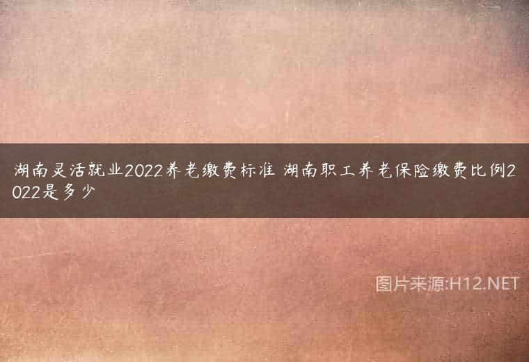 湖南灵活就业2022养老缴费标准 湖南职工养老保险缴费比例2022是多少